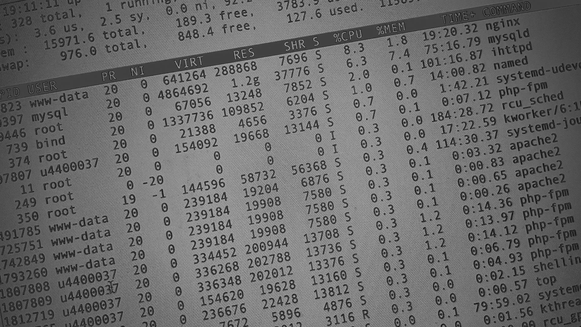 Настройка сервера в Калининграде